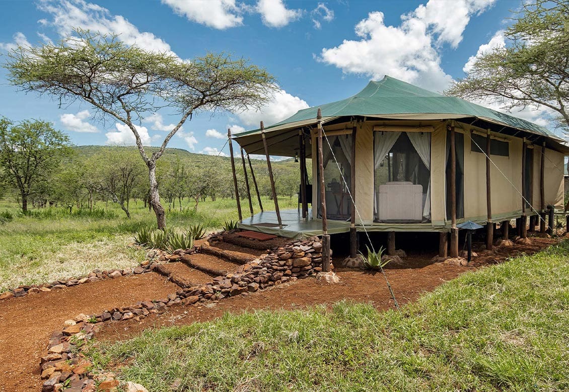 Ole Serai Luxury Camps - Moru Kopjes — photo 7