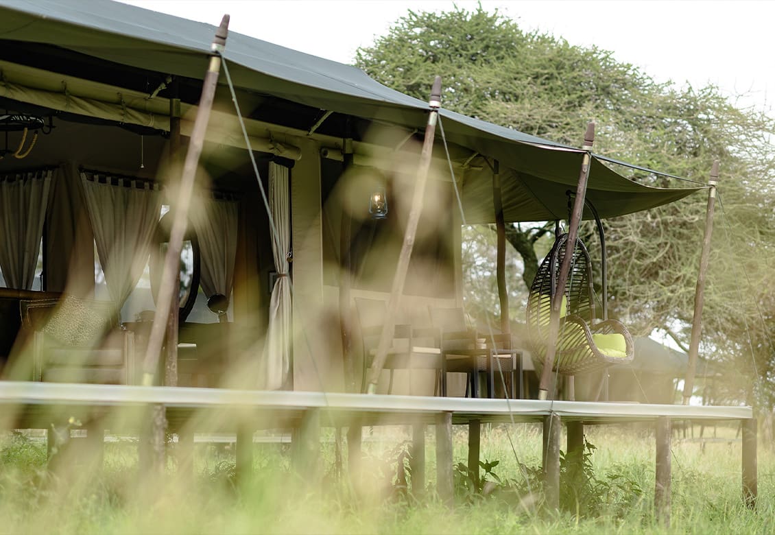 Ole Serai Luxury Camps - Turner Springs — photo 8