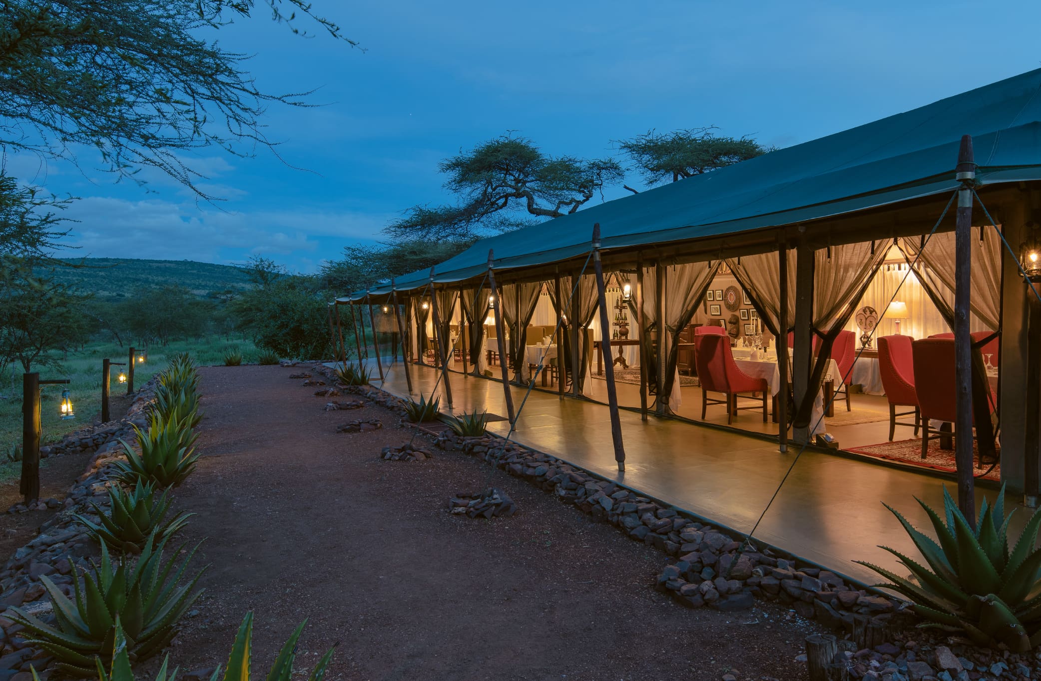 Ole Serai Luxury Camps - Moru Kopjes — photo 4