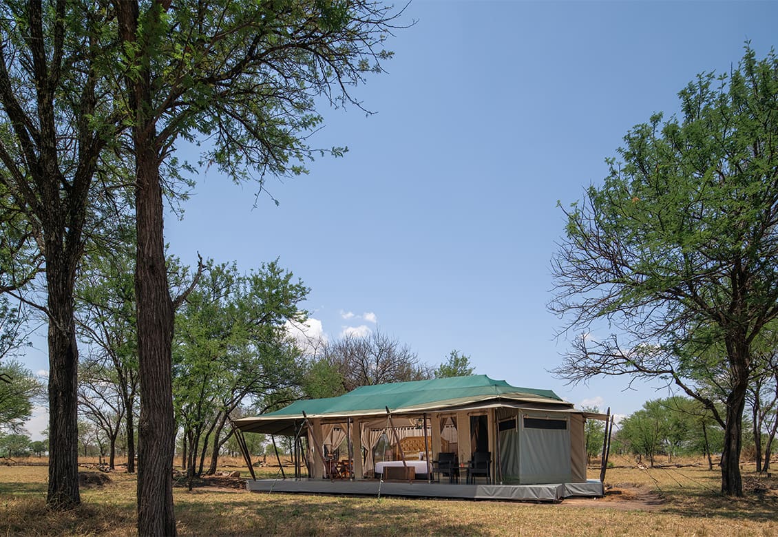 Ole Serai Luxury Camp - Kogatende — photo 8